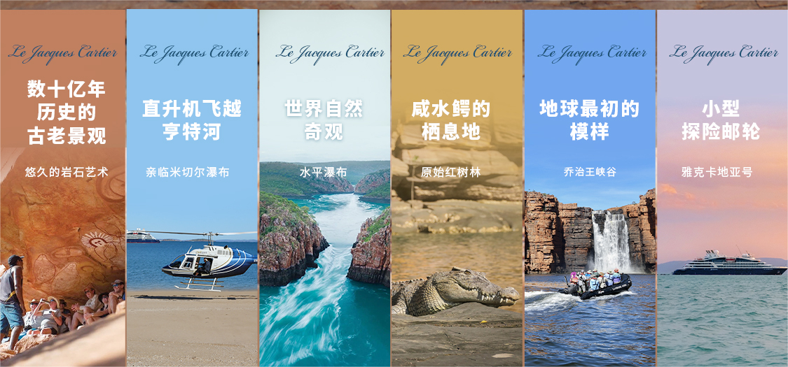 热带南极荒野生物奇遇记2无_02(1).png