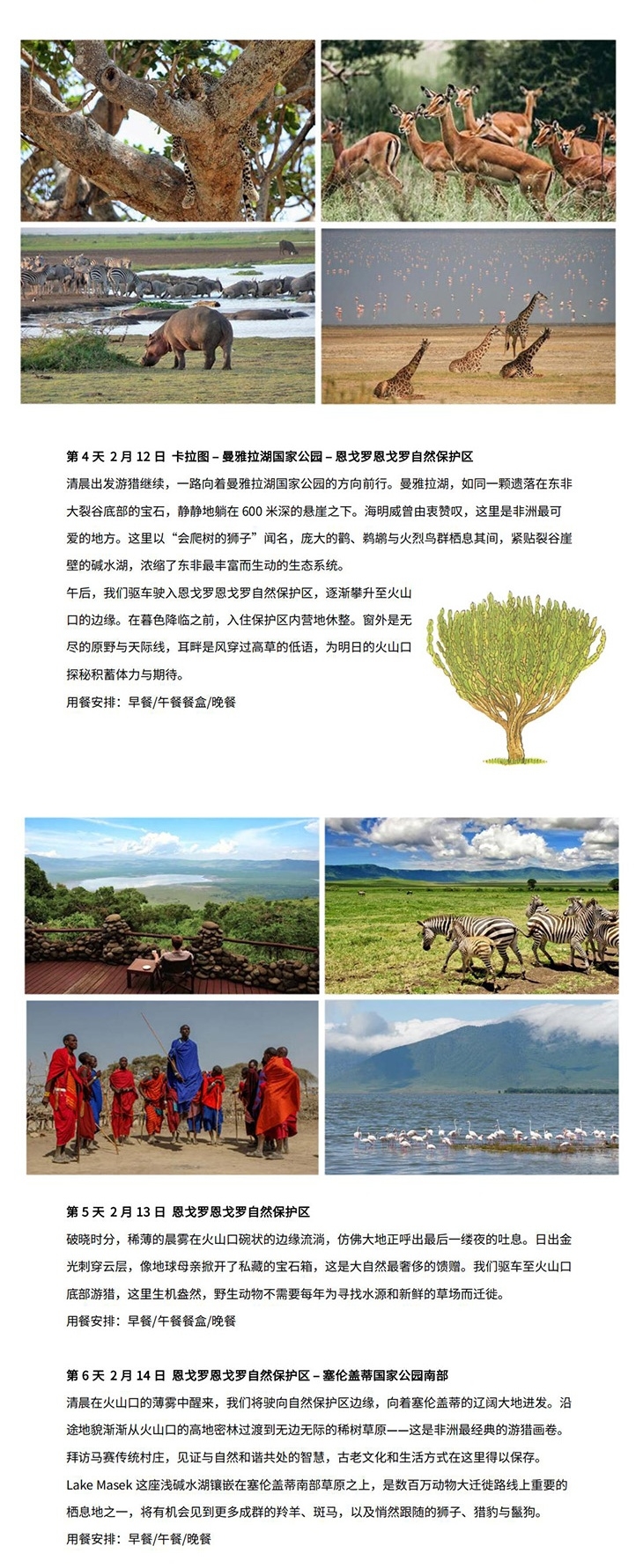 坦桑 行程长图_2.jpg