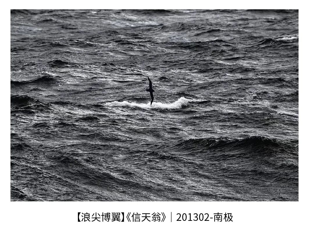 著名摄影师、极之美旅行家边缘影展在京举办(图7) 7.jpeg