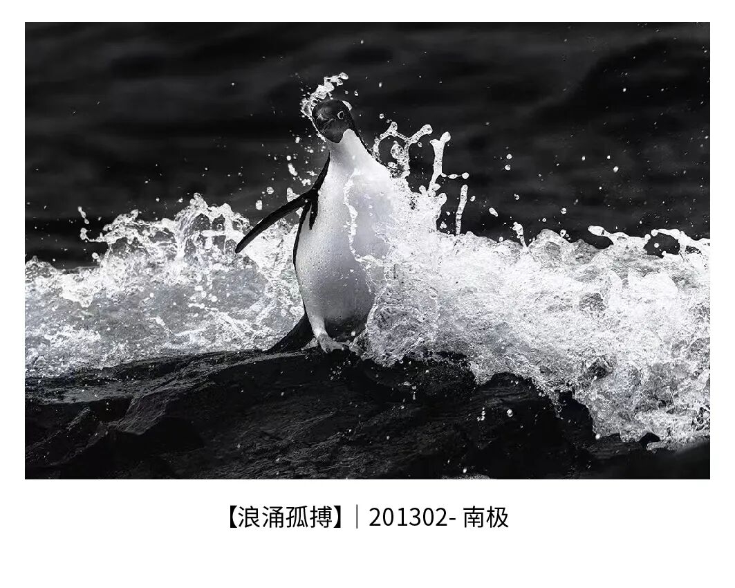 著名摄影师、极之美旅行家边缘影展在京举办(图10) 11111.jpeg